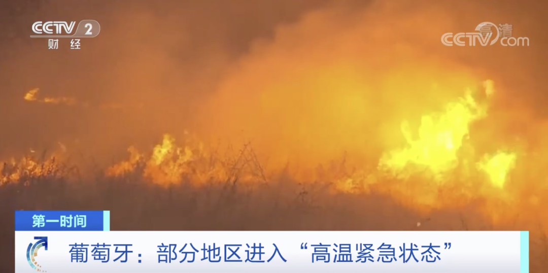 突發(fā)！這一國(guó)家宣布：多地進(jìn)入緊急狀態(tài)！