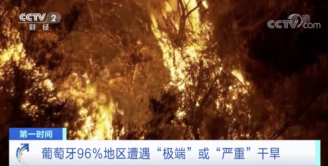 突發(fā)！這一國(guó)家宣布：多地進(jìn)入緊急狀態(tài)！