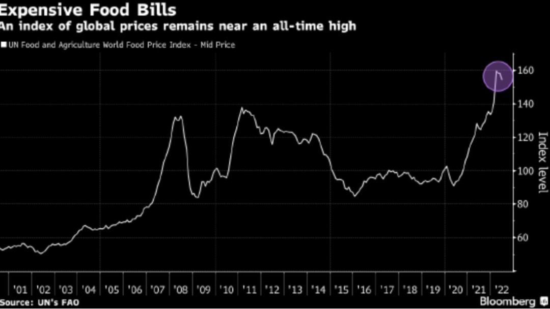 剛剛！俄烏協(xié)議達成：黑海三個港口將恢復糧食出口