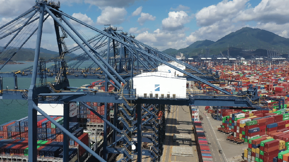 6艘海上“巨無霸”同時靠泊鹽田國際！