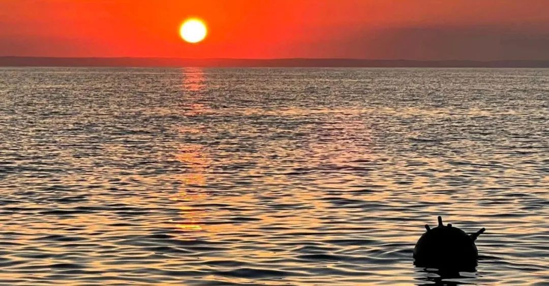 海員短缺！無人運(yùn)糧！