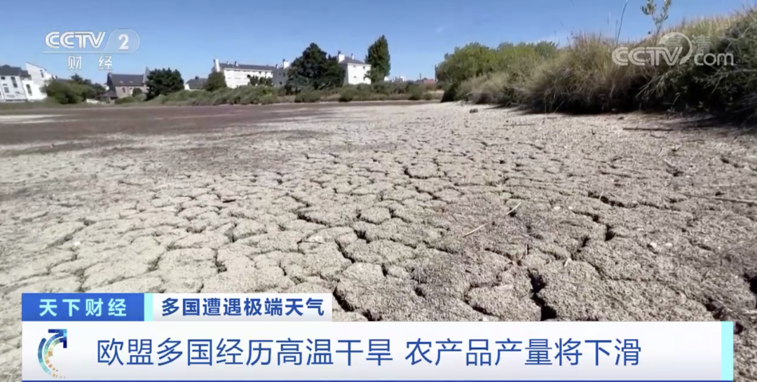 突發(fā)！國外一電商平臺公司倉庫起火致1死13傷！