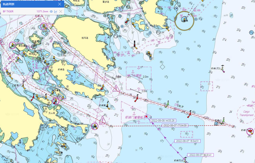 快訊！222米長箱船在浙江海域撞沉另一船