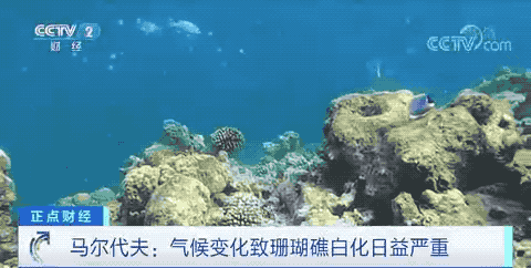 突發(fā)！這個(gè)國家出現(xiàn)不明原因肺炎，還有這幾個(gè)國家！