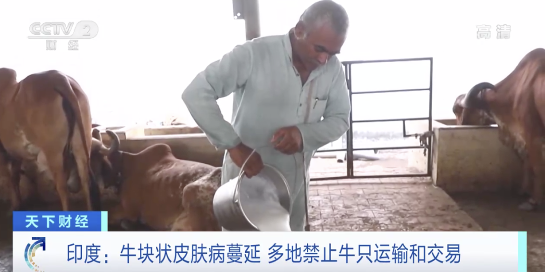 印度：禁止出口，禁止運(yùn)輸交易