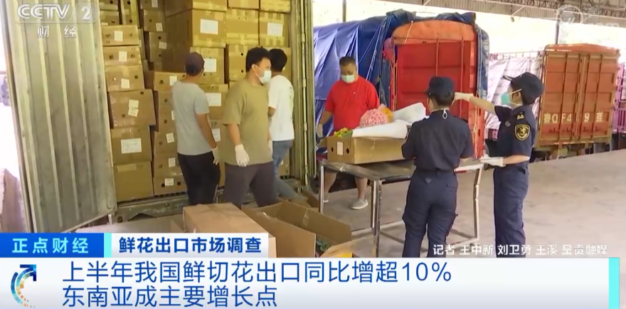 它，在國(guó)外賣(mài)爆了！