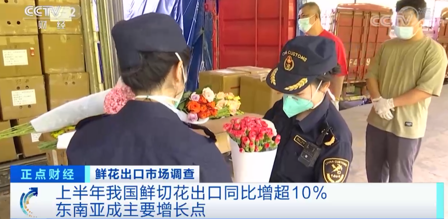 它，在國(guó)外賣(mài)爆了！