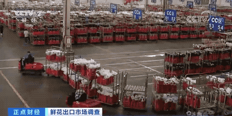 它，在國(guó)外賣(mài)爆了！