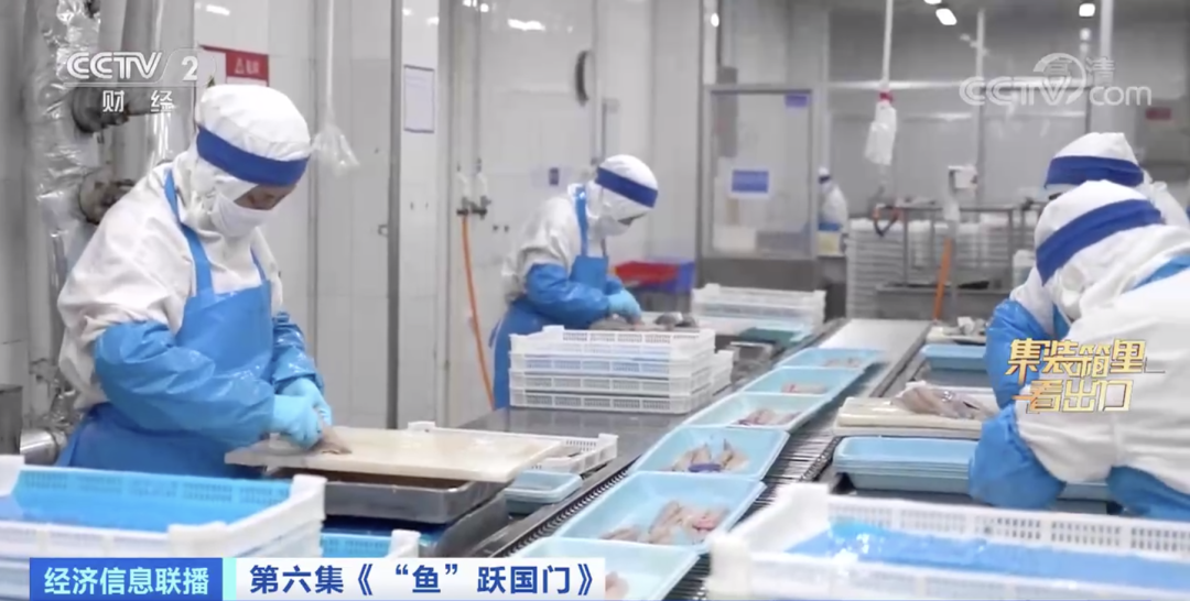 賣爆了！又一全球第一！