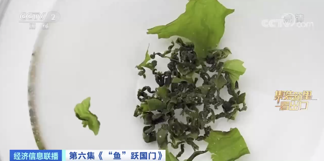 賣爆了！又一全球第一！