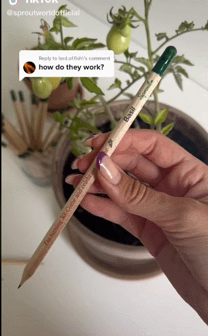 “種植鉛筆”在TikTok爆紅！品牌一個月吸粉10萬