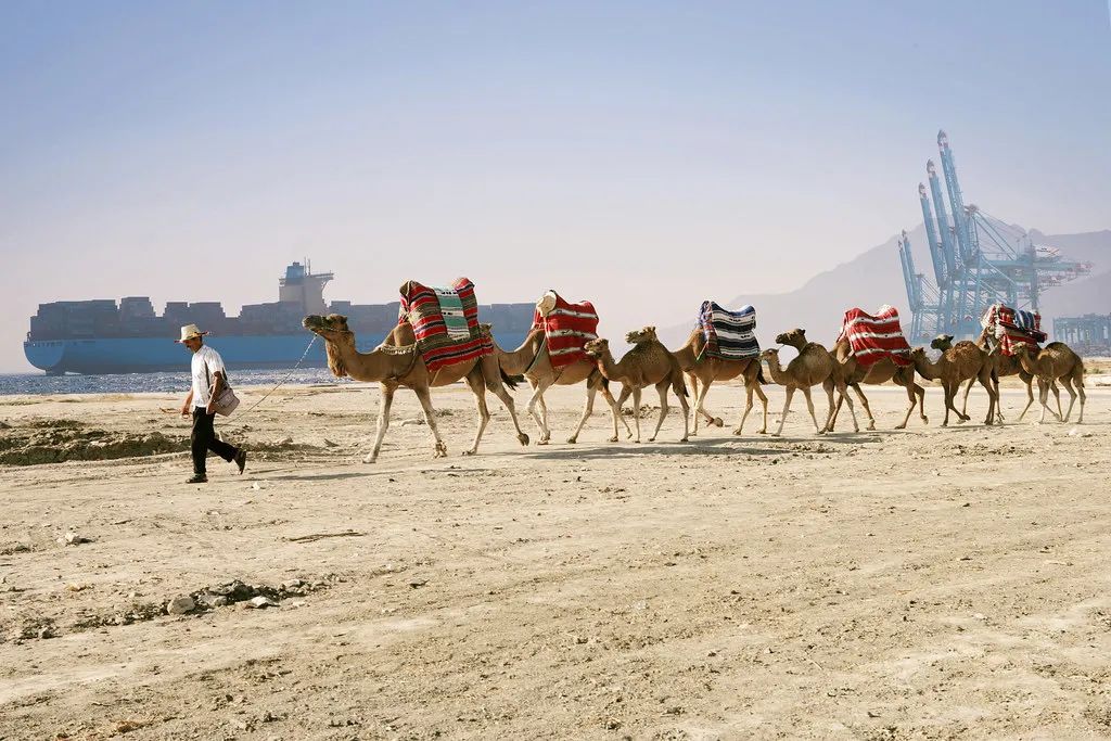 這10個碼頭，你要都見過算我輸 ！