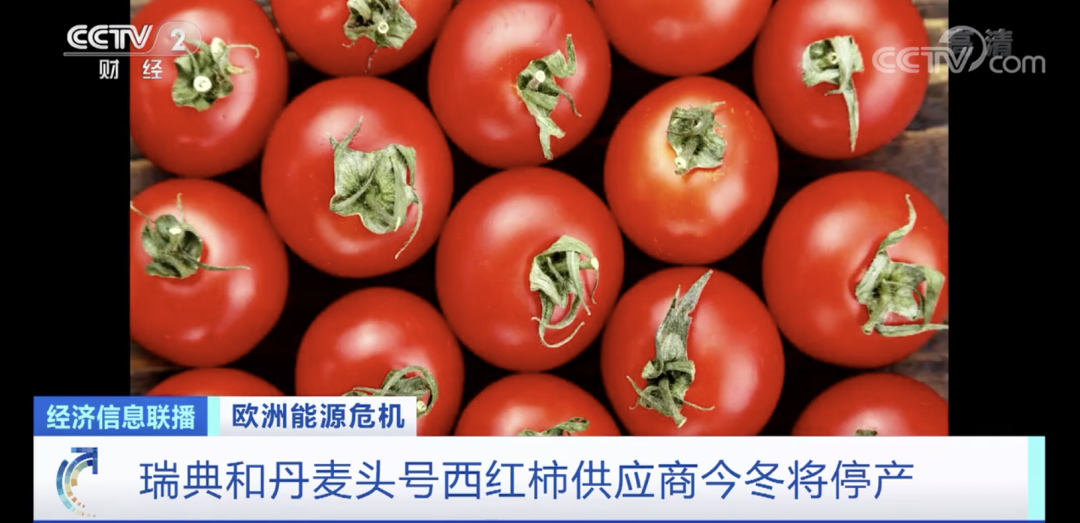 工廠面臨倒閉、關(guān)門、停產(chǎn)......