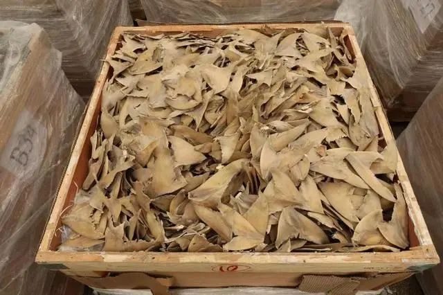 涉約3億港元！香港海關(guān)破獲今年最大宗海路走私案