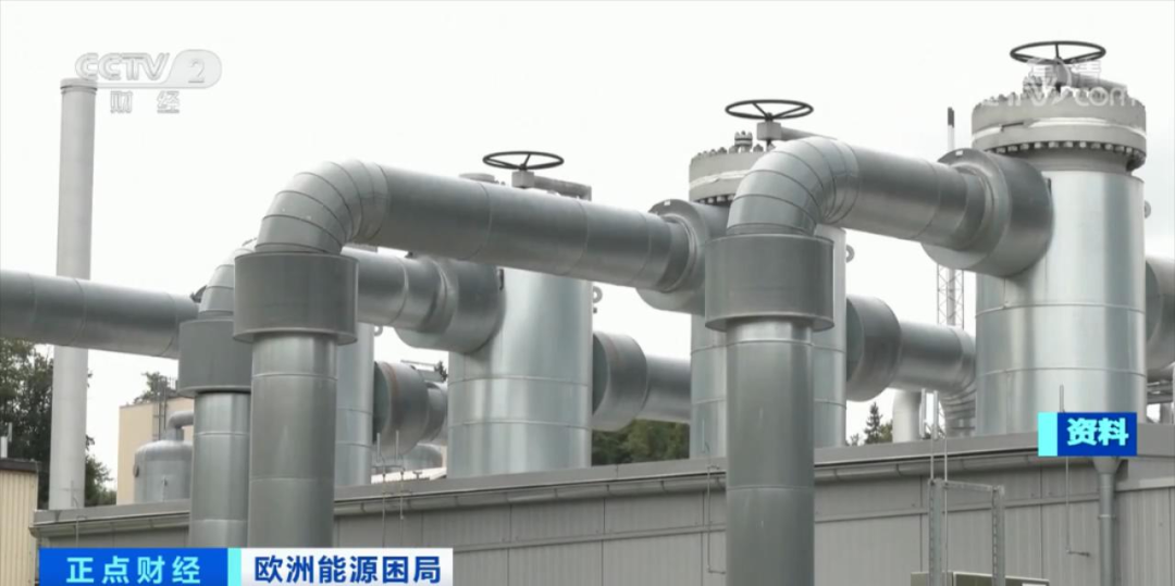 跑一趟船，賺超7億元？