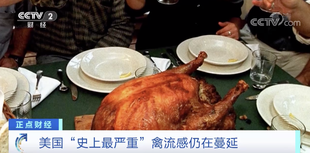 麻煩了！ “史上最嚴重”，近十個國家爆發(fā)禽流感！超過5230萬只禽類被宰殺......