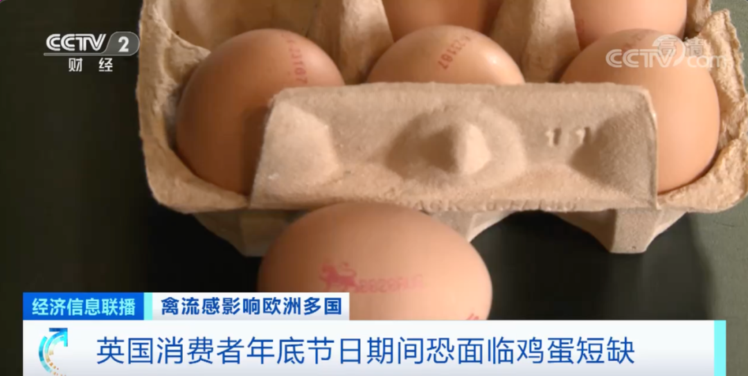 麻煩了！ “史上最嚴重”，近十個國家爆發(fā)禽流感！超過5230萬只禽類被宰殺......