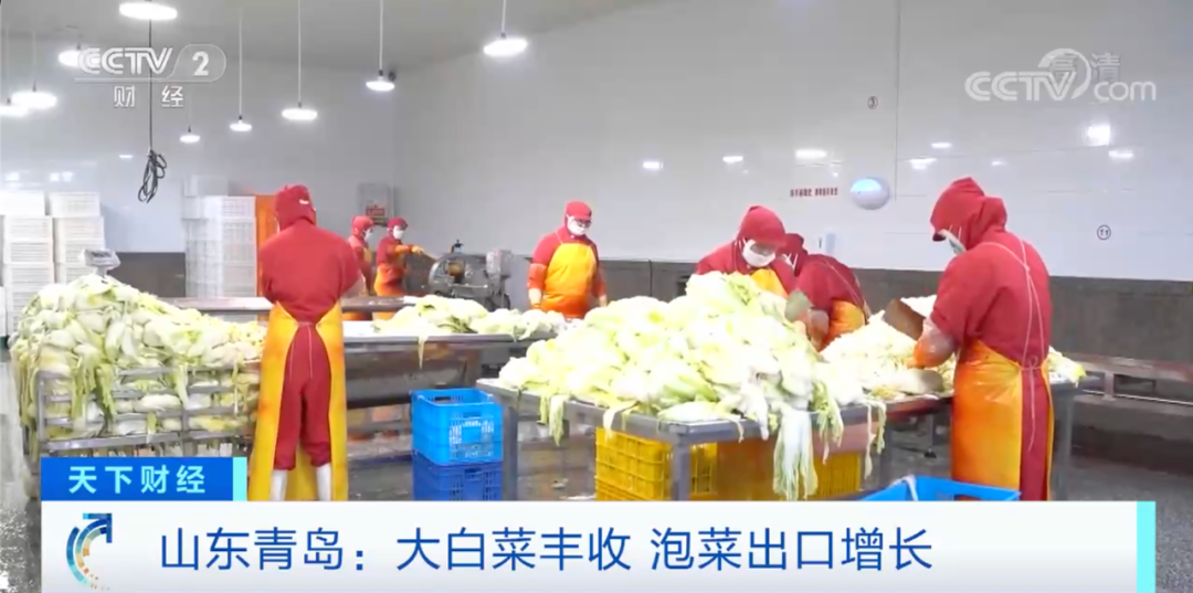 這些產(chǎn)品在國外賣爆了！