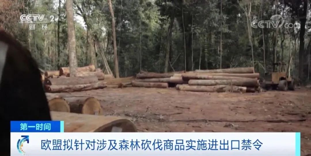 央視關(guān)注！這些商品，擬禁止進出口歐盟國家！違者將面臨罰款