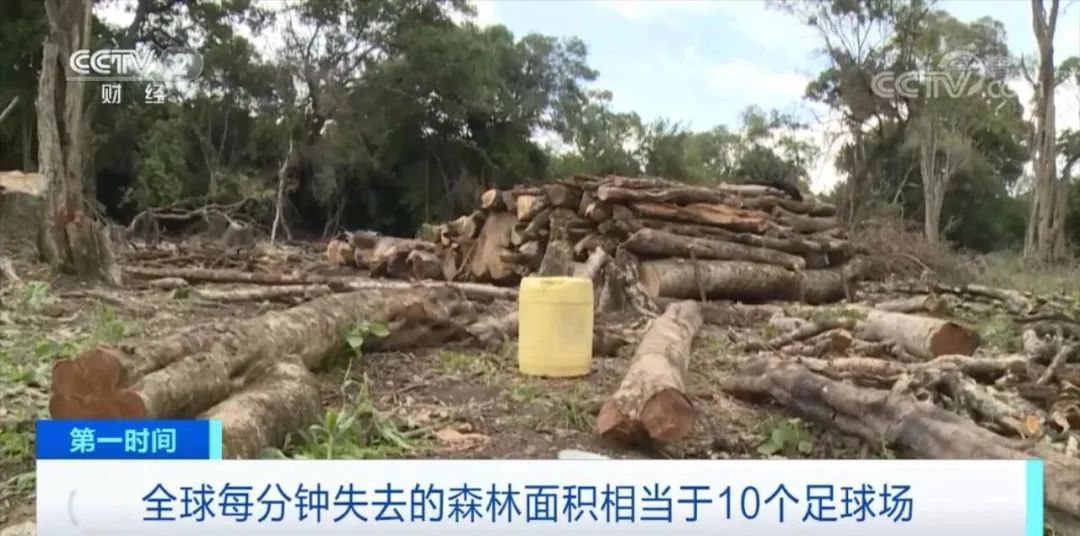 央視關(guān)注！這些商品，擬禁止進出口歐盟國家！違者將面臨罰款