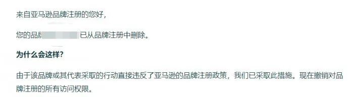 賣家炸鍋！大批中國品牌被亞馬遜移除？
