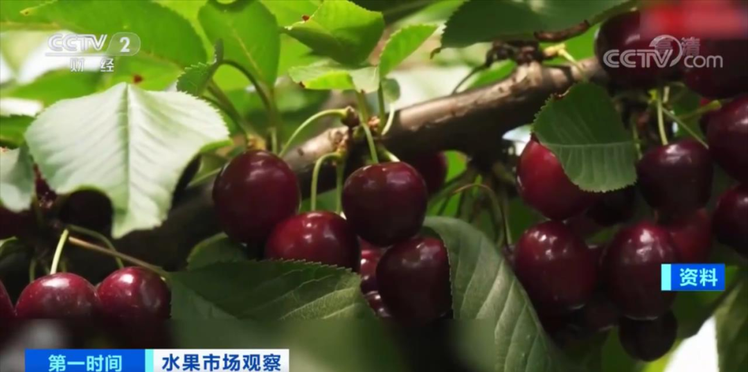 碼頭全是貨！再過十天，這個產(chǎn)品將大降價？