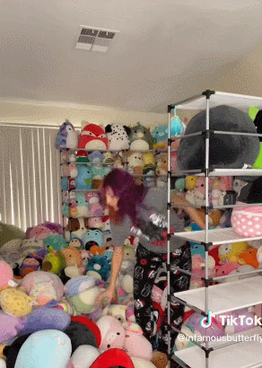 爆紅TikTok ！由一款抱枕掀起的玩具收藏潮