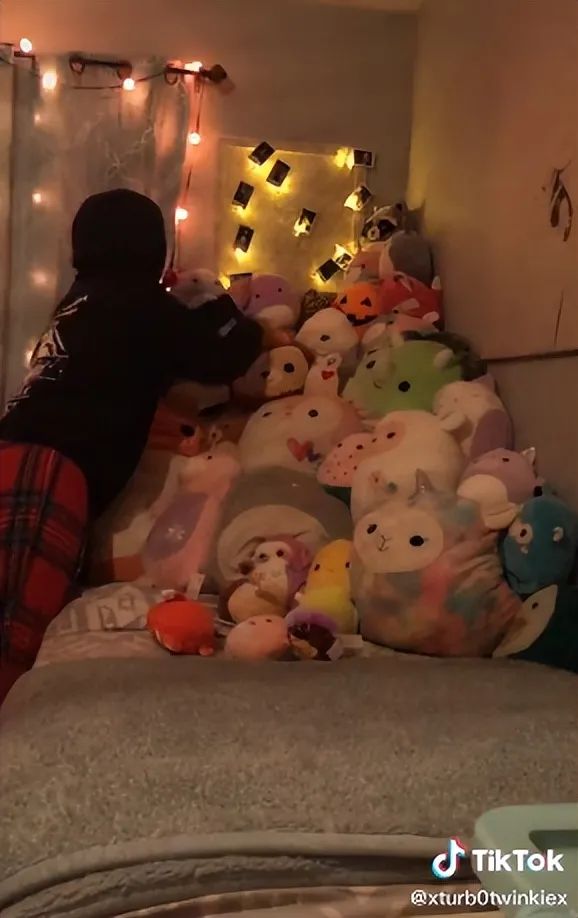 爆紅TikTok ！由一款抱枕掀起的玩具收藏潮