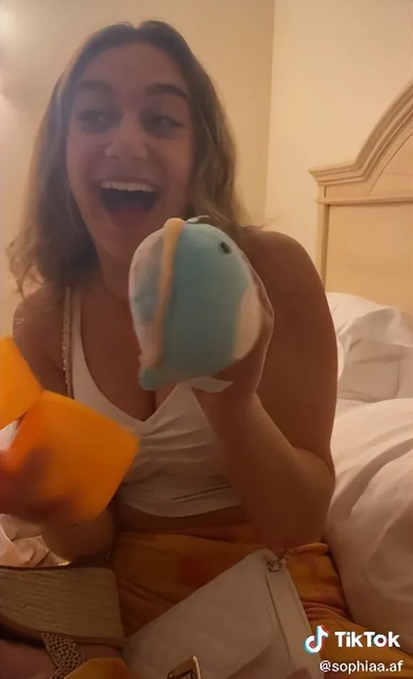 爆紅TikTok ！由一款抱枕掀起的玩具收藏潮