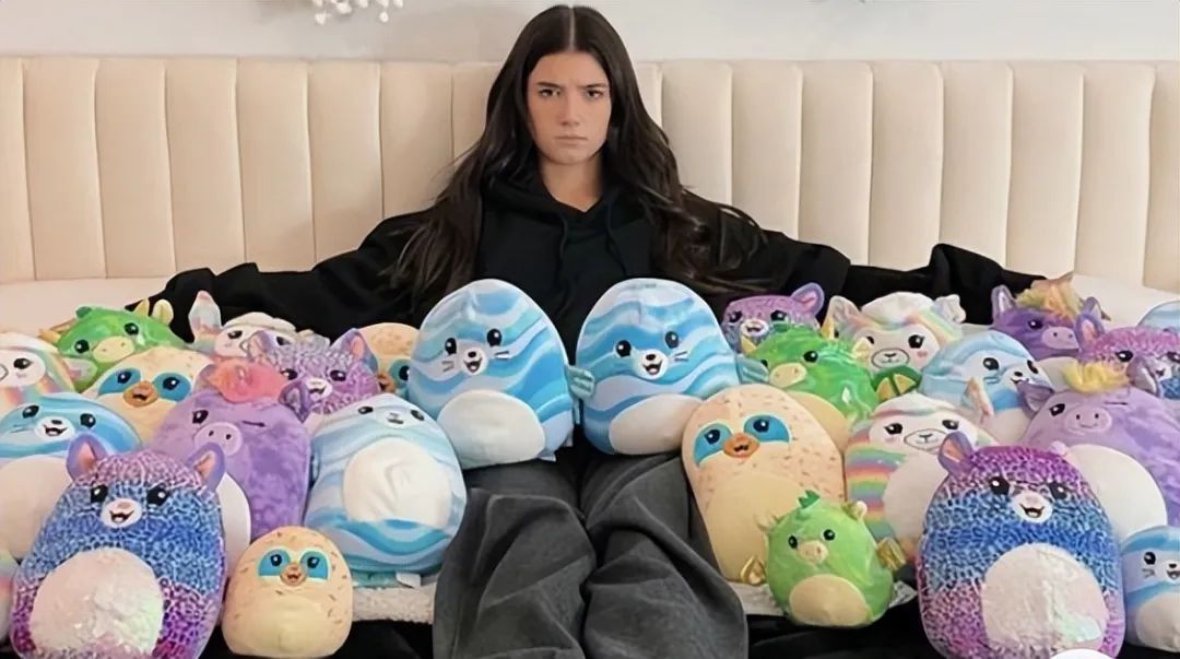 爆紅TikTok ！由一款抱枕掀起的玩具收藏潮