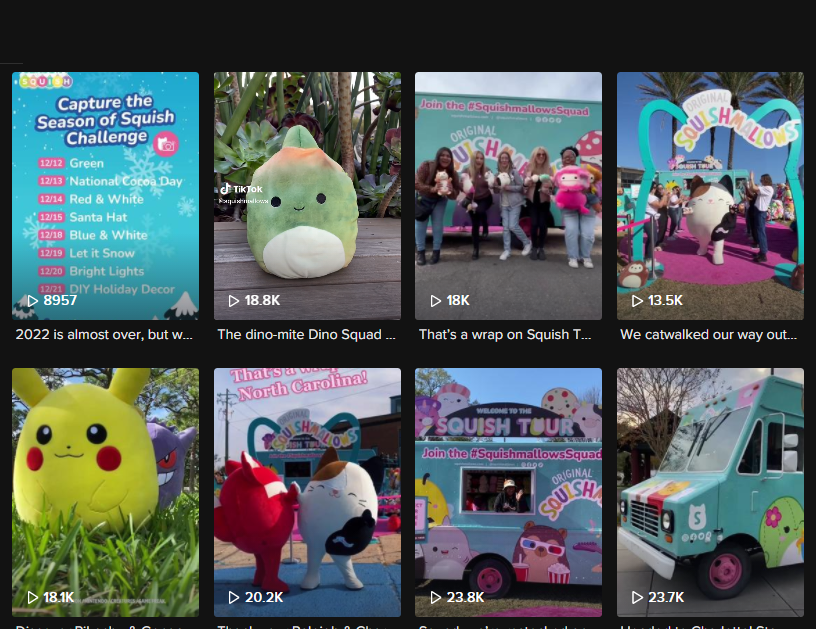 爆紅TikTok ！由一款抱枕掀起的玩具收藏潮