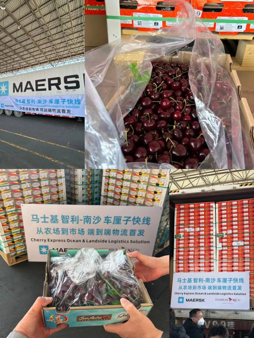 馬士基/漢堡南美車(chē)?yán)遄涌炀€首航南沙港