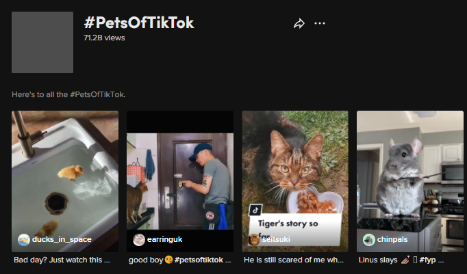 搜索熱度高出峰值169%！TikTok情人節(jié)爆品大預(yù)測