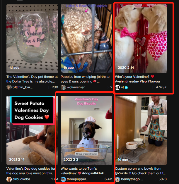 搜索熱度高出峰值169%！TikTok情人節(jié)爆品大預(yù)測