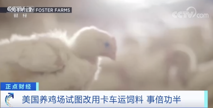 重磅突發(fā)！美國(guó)所有航班都已停飛！