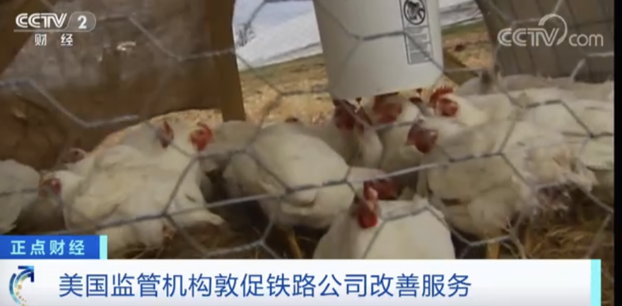 重磅突發(fā)！美國(guó)所有航班都已停飛！