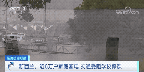 預(yù)警！取消所有客運(yùn)航班和列車