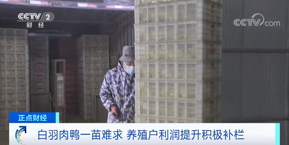 搶瘋了！漲價(jià)超300%，還得排一個(gè)月隊(duì)！