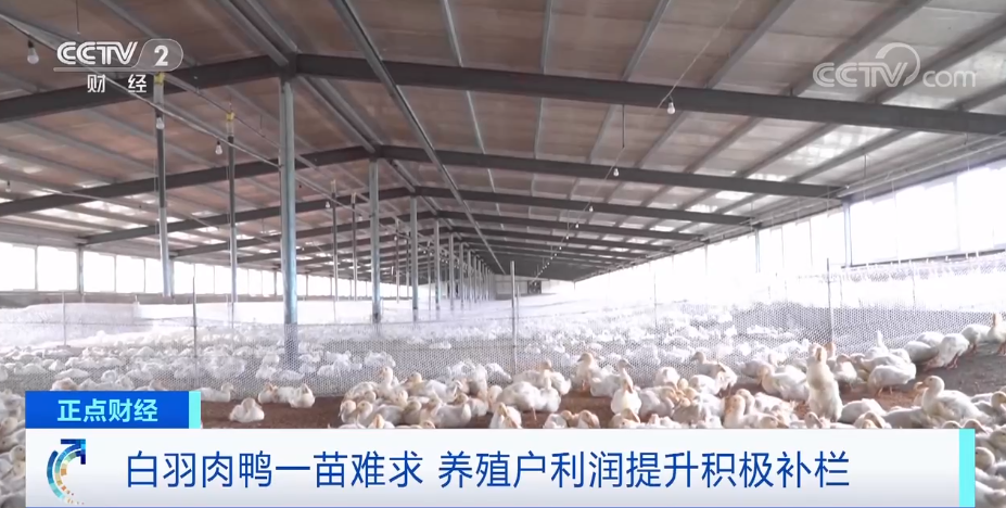 搶瘋了！漲價(jià)超300%，還得排一個(gè)月隊(duì)！