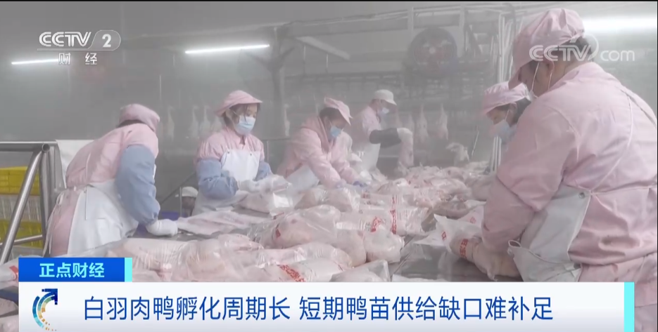 搶瘋了！漲價(jià)超300%，還得排一個(gè)月隊(duì)！