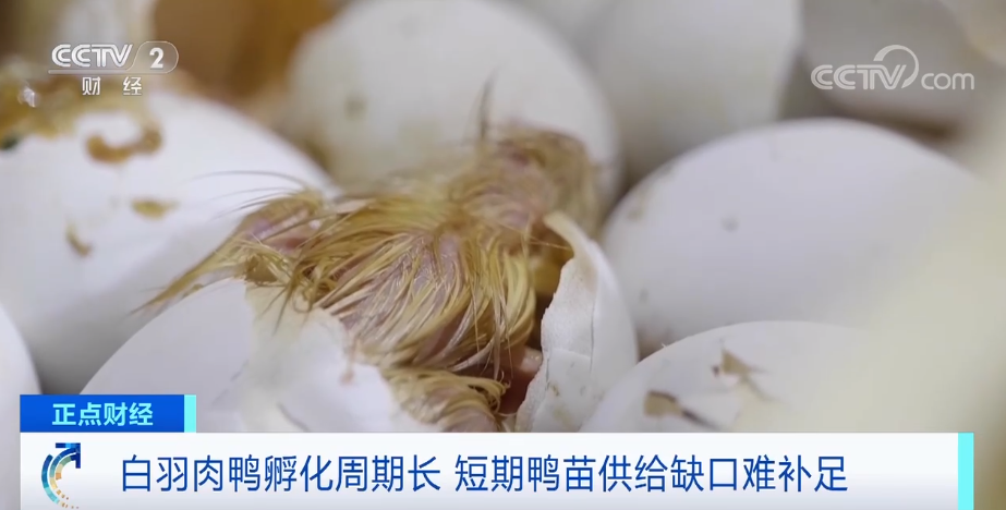 搶瘋了！漲價(jià)超300%，還得排一個(gè)月隊(duì)！