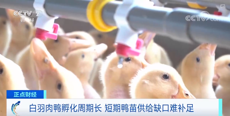 搶瘋了！漲價(jià)超300%，還得排一個(gè)月隊(duì)！