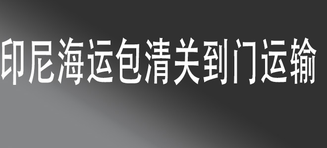  中國(guó)至印度尼西亞全鏈條物流服務(wù)：安全、高效、一站式解決方案
