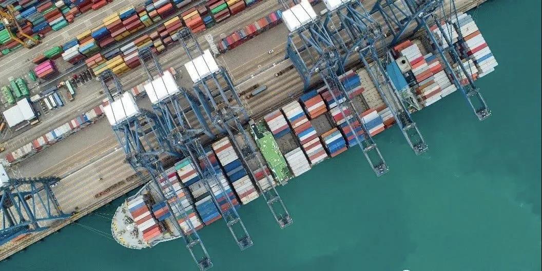 6條新航線在鹽田港投入運行！ 