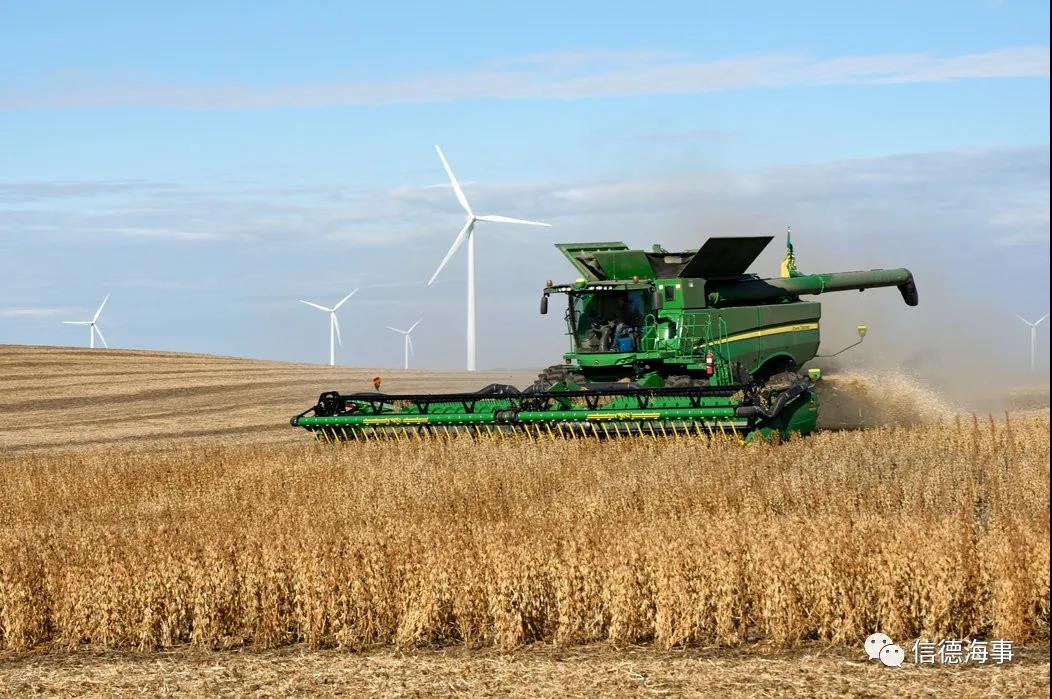 中國(guó)對(duì)糧食、谷物需求巨大，干散貨船舶市場(chǎng)將迎來(lái)利好！  