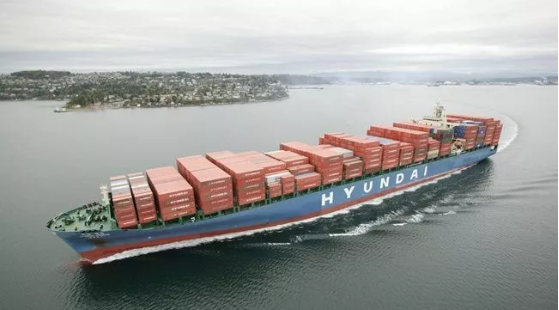 HMM將私有化？其最大股東計(jì)劃將其股份移交