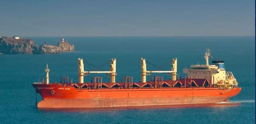 船長疑似癥狀離船后，船員未接受檢測開船離開前往巴西