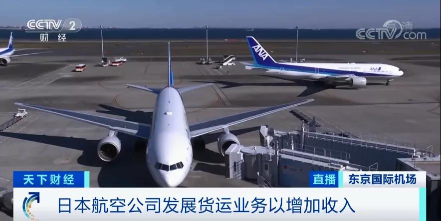 至暗！國內(nèi)三大航空公司巨虧300多億，日本最大航空公司將無薪放假兩年！