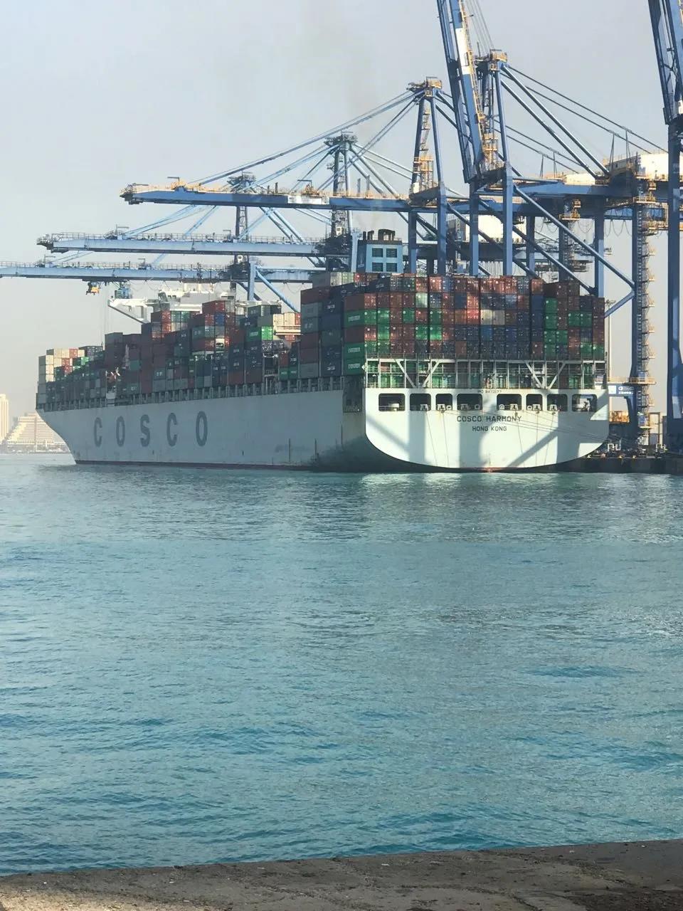 中遠海運港口收購沙特紅海門戶碼頭20%股份，加強紅海地區(qū)布局