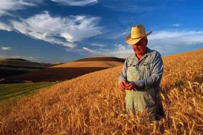 中國(guó)自美進(jìn)口農(nóng)產(chǎn)品大漲67%！豬肉增長(zhǎng)223.8%、大豆增長(zhǎng)56.3%……